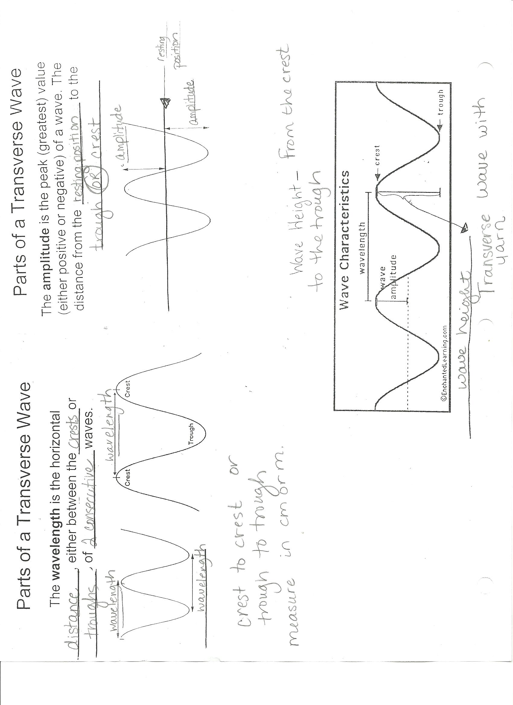 worksheet Wave Characteristics Worksheet wave properties worksheet answers 28 images 14 best of and math answer key graphing