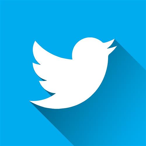 Twitter Icon