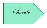 Suicide 