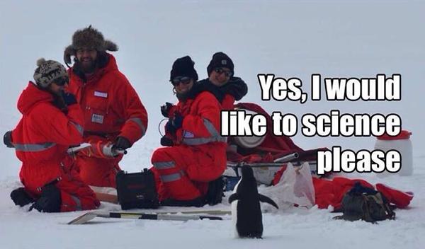 Penguin meme with scientist "I would like to Science please"