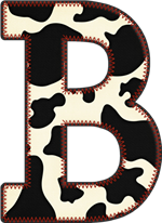 B B