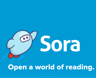 Sora App