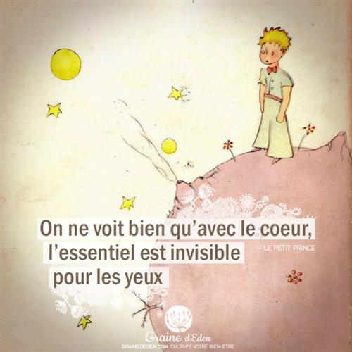 le Petit Prince le Petit Prince